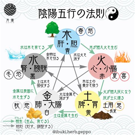 陽五行|陰陽五行